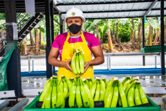 Fruexporsa-Hacienda