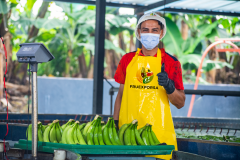 Fruexporsa
